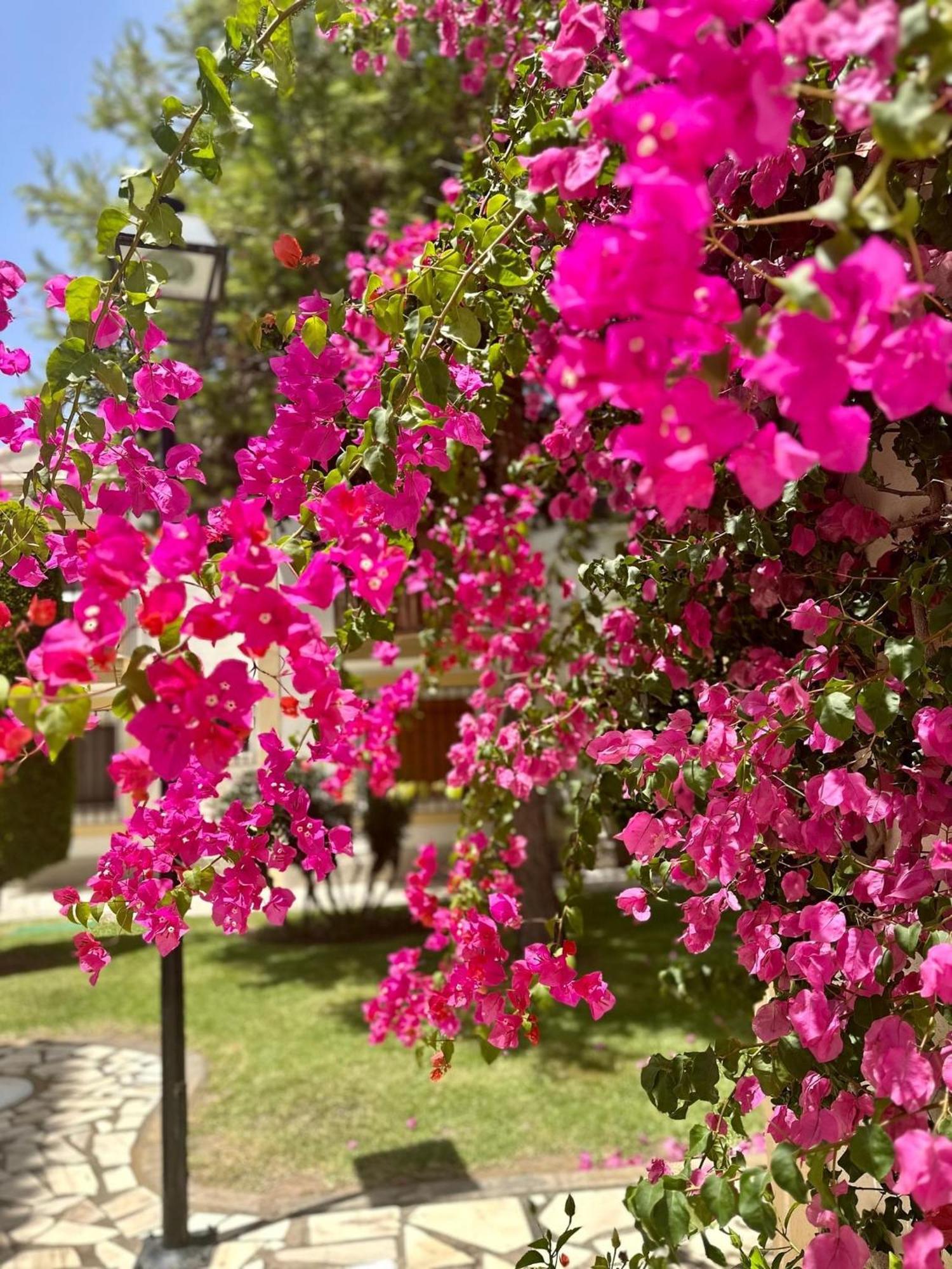 Casa Veranera Vera Costa Playas de Vera المظهر الخارجي الصورة