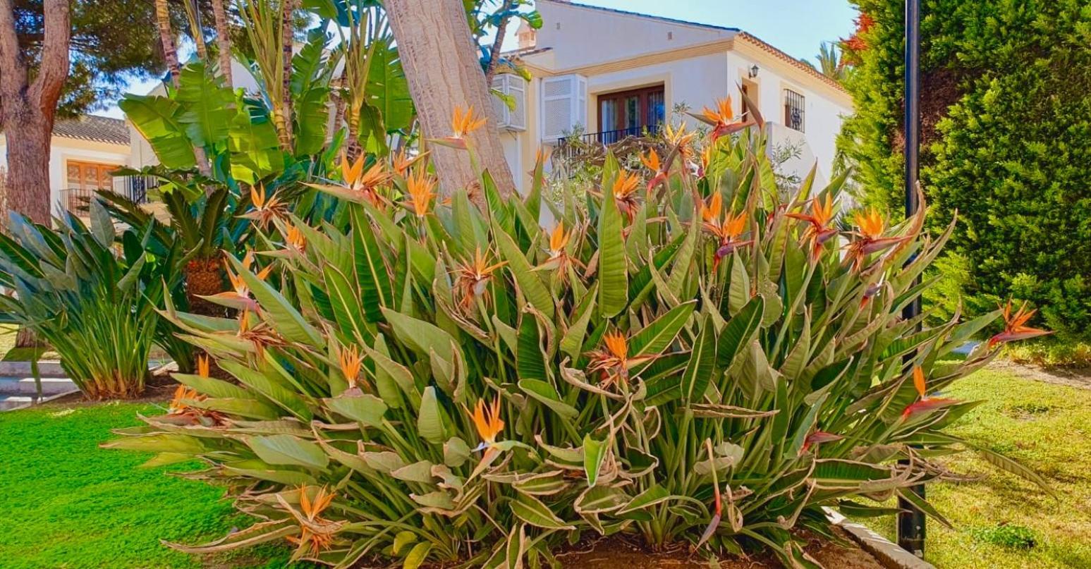 Casa Veranera Vera Costa Playas de Vera المظهر الخارجي الصورة