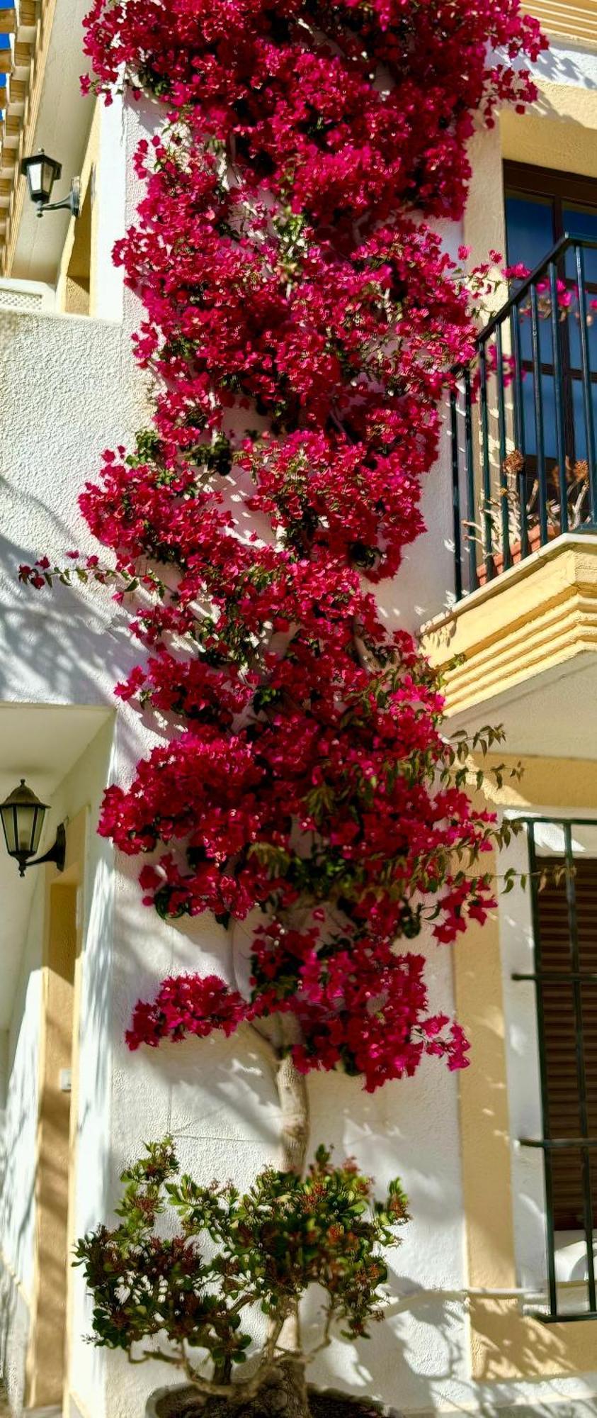 Casa Veranera Vera Costa Playas de Vera المظهر الخارجي الصورة