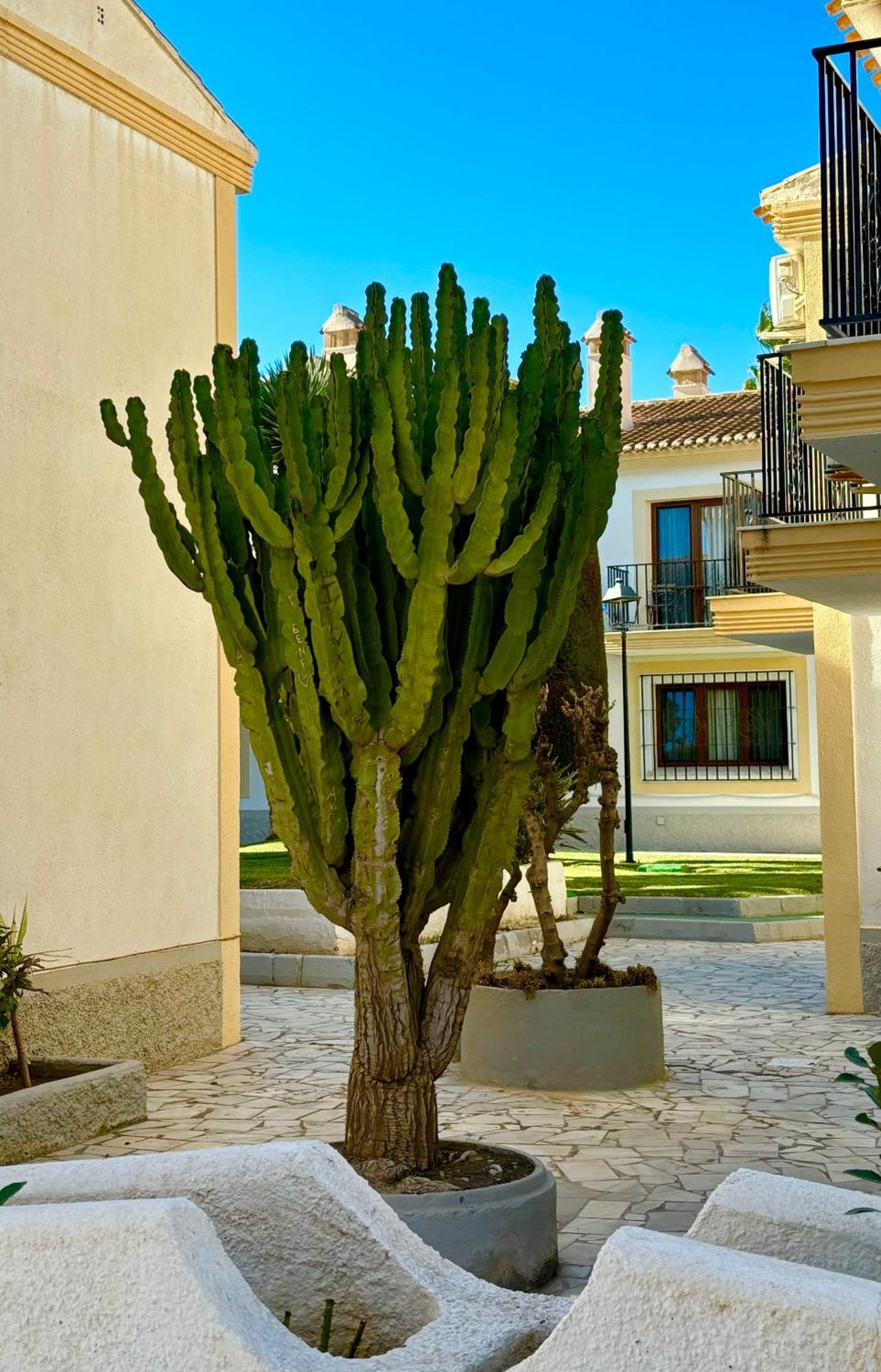 Casa Veranera Vera Costa Playas de Vera المظهر الخارجي الصورة