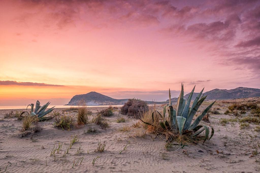 Casa Veranera Vera Costa Playas de Vera المظهر الخارجي الصورة